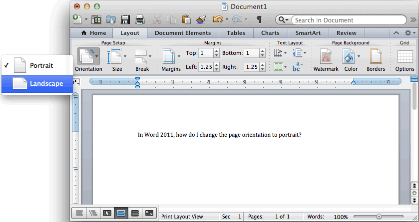 search for words on a document mac
